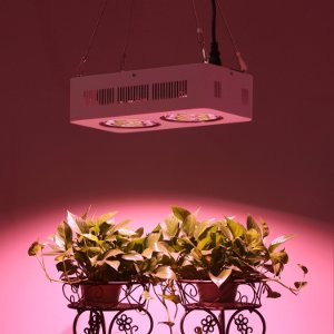 Grow Lampe LED kaufen