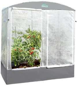 tomatengewaechshaus